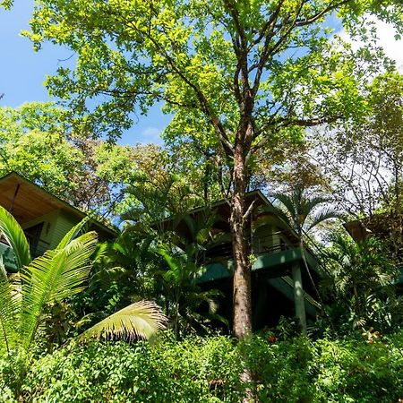 Arbol Verde Villas Ojochal Ngoại thất bức ảnh