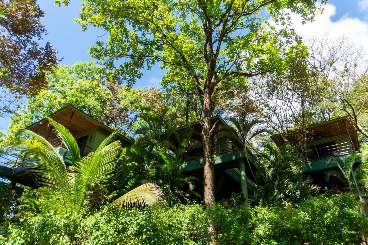 Arbol Verde Villas Ojochal Ngoại thất bức ảnh