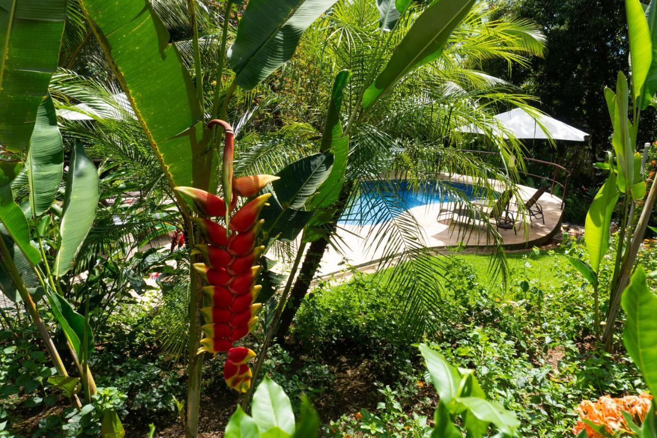 Arbol Verde Villas Ojochal Ngoại thất bức ảnh