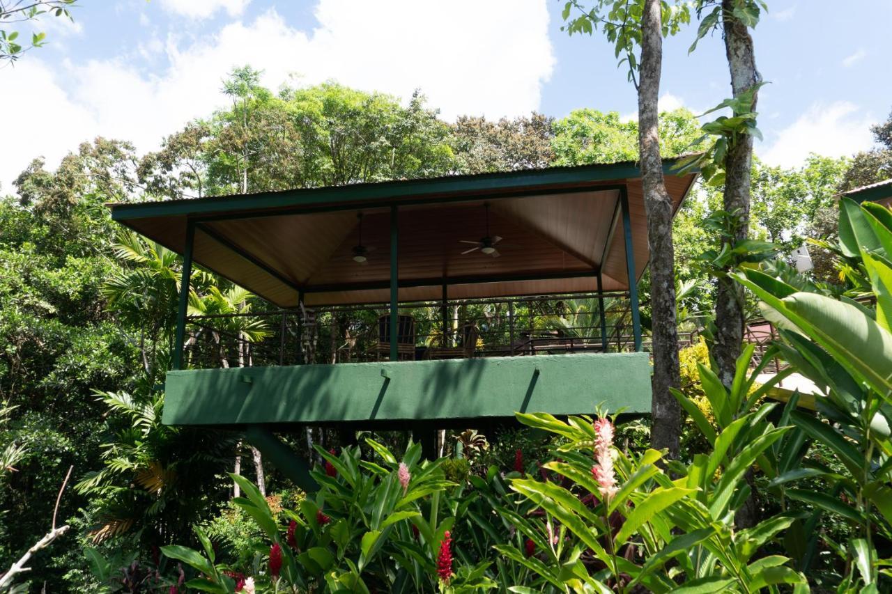 Arbol Verde Villas Ojochal Ngoại thất bức ảnh