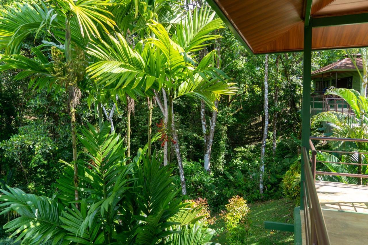 Arbol Verde Villas Ojochal Ngoại thất bức ảnh